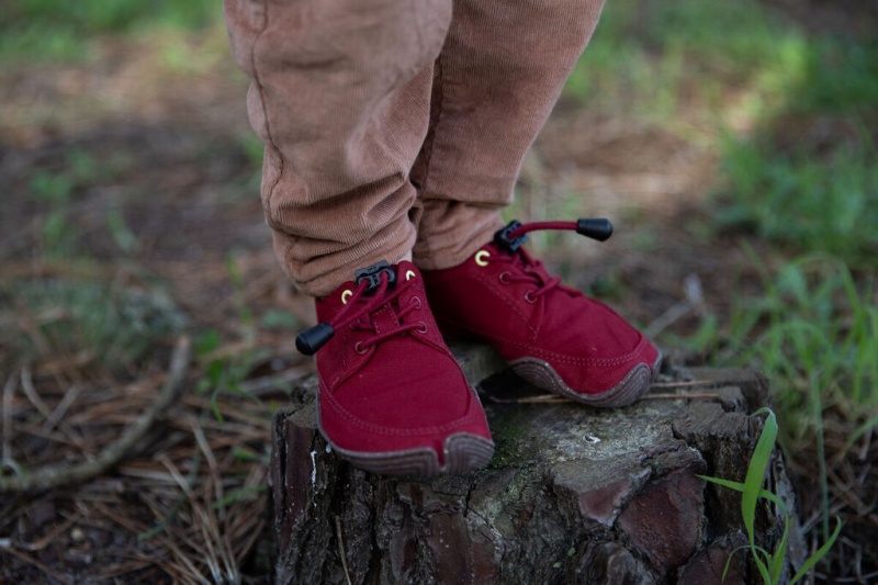 Dark Red Kids' Wildling Tanuki Barefoot Shoes | UK-MUXZBF630