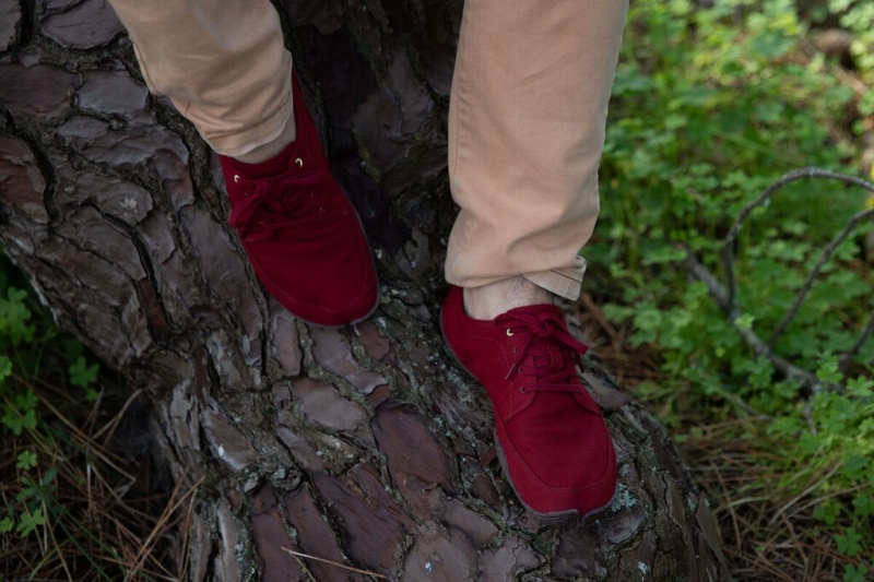 Dark Red Men's Wildling Tanuki Barefoot Shoes | UK-XWGIQV679